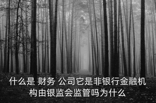 什么是 財務(wù) 公司它是非銀行金融機構(gòu)由銀監(jiān)會監(jiān)管嗎為什么