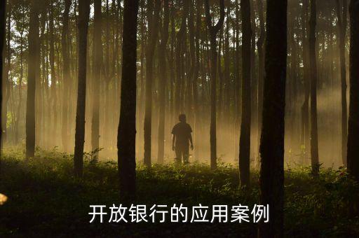 開(kāi)放銀行的應(yīng)用案例