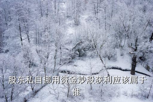  股東私自挪用資金炒股獲利應該屬于誰