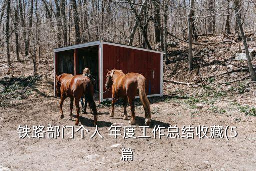 鐵路部門個(gè)人 年度工作總結(jié)收藏(5篇