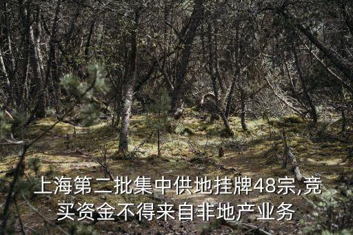  上海第二批集中供地掛牌48宗,競(jìng)買(mǎi)資金不得來(lái)自非地產(chǎn)業(yè)務(wù)