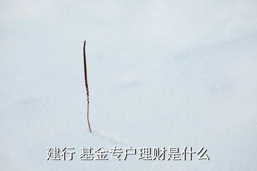 建行 基金專戶理財(cái)是什么