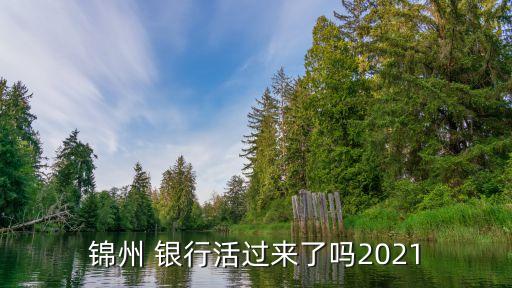 銀行行戰(zhàn)略投資者,中國郵政儲蓄銀行戰(zhàn)略投資者