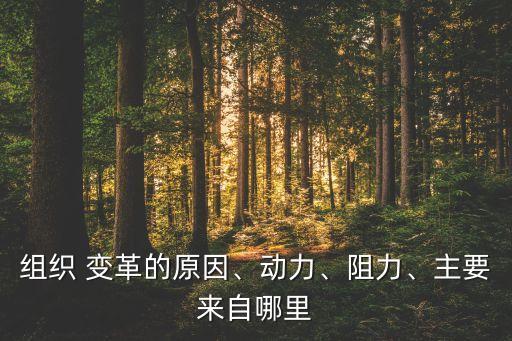 組織 變革的原因、動力、阻力、主要來自哪里