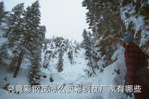 究竟彩鋼瓦怎么賣(mài)彩鋼瓦廠家有哪些