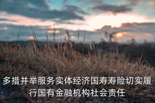 多措并舉服務(wù)實(shí)體經(jīng)濟(jì)國壽壽險(xiǎn)切實(shí)履行國有金融機(jī)構(gòu)社會(huì)責(zé)任