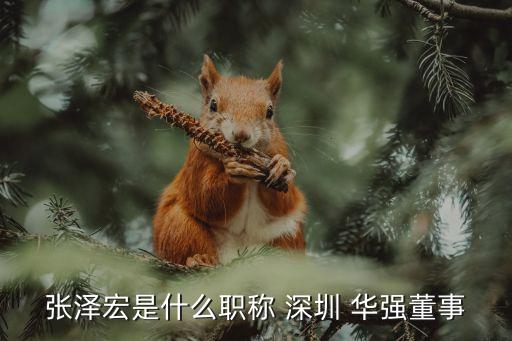 張澤宏是什么職稱(chēng) 深圳 華強(qiáng)董事