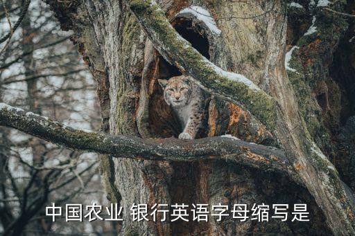 中國(guó)農(nóng)業(yè) 銀行英語字母縮寫是