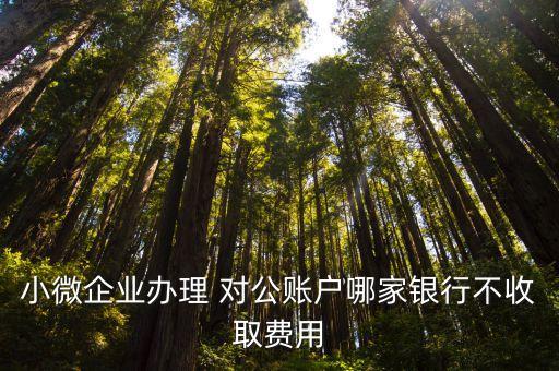 小微企業(yè)辦理 對(duì)公賬戶(hù)哪家銀行不收取費(fèi)用