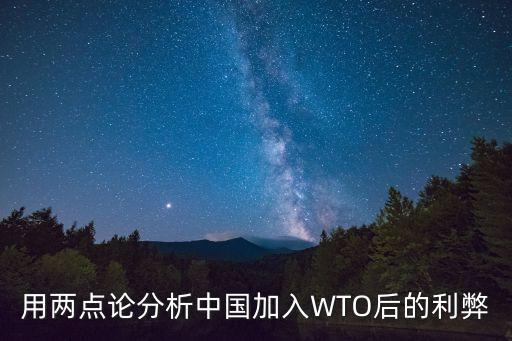用兩點(diǎn)論分析中國(guó)加入WTO后的利弊