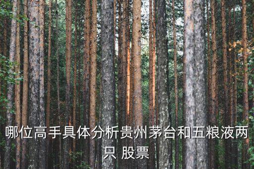 哪位高手具體分析貴州茅臺(tái)和五糧液兩只 股票