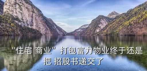 中國建材檢驗認(rèn)證集團(tuán)招股書
