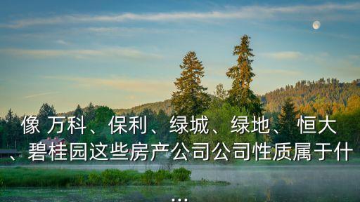 像 萬科、保利、綠城、綠地、 恒大、碧桂園這些房產公司公司性質屬于什...