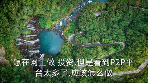 想在網(wǎng)上做 投資,但是看到P2P平臺太多了,應該怎么做