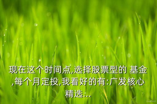 現在這個時間點,選擇股票型的 基金,每個月定投,我看好的有:廣發(fā)核心精選...
