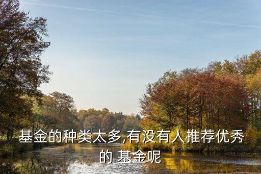  基金的種類(lèi)太多,有沒(méi)有人推薦優(yōu)秀的 基金呢