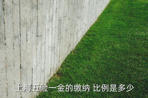  上海五險一金的繳納 比例是多少