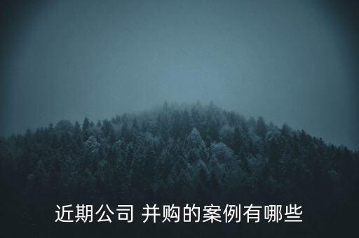 我國(guó)銀行海外并購(gòu)問題