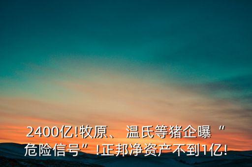 2400億!牧原、 溫氏等豬企曝“危險(xiǎn)信號(hào)”!正邦凈資產(chǎn)不到1億!