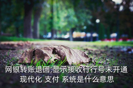 現(xiàn)代化銀行支付系統(tǒng)號,中國現(xiàn)代化支付系統(tǒng)CNAPS