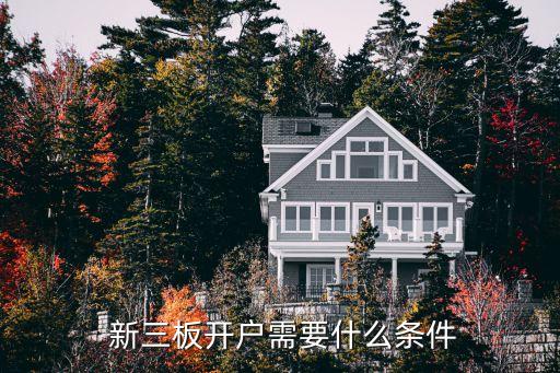  新三板開(kāi)戶(hù)需要什么條件