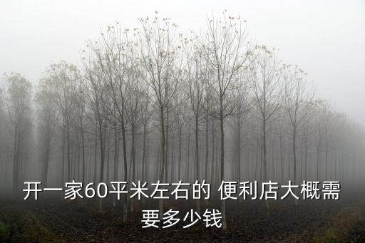 開(kāi)一家60平米左右的 便利店大概需要多少錢