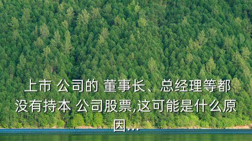  上市 公司的 董事長、總經理等都沒有持本 公司股票,這可能是什么原因...