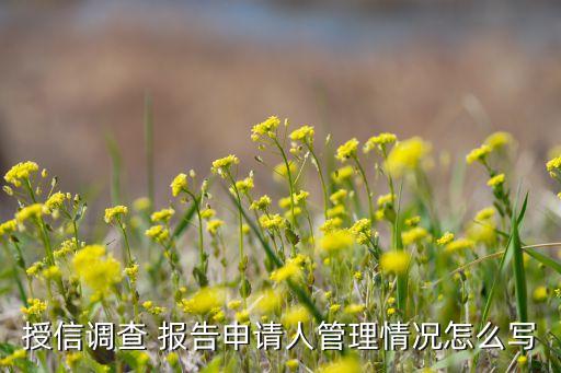 授信調(diào)查 報(bào)告申請人管理情況怎么寫