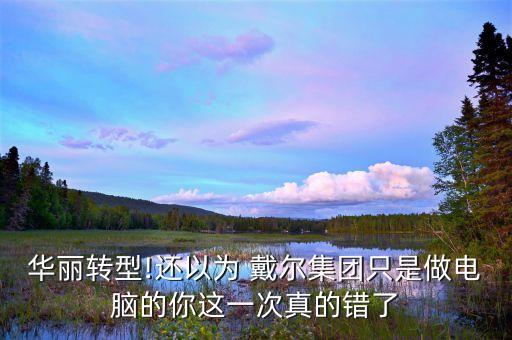 戴爾股票90年代增長(zhǎng)多