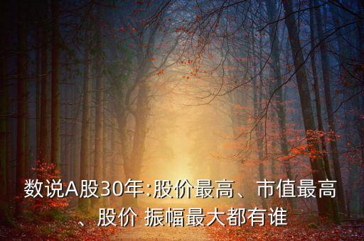 數(shù)說A股30年:股價最高、市值最高、股價 振幅最大都有誰