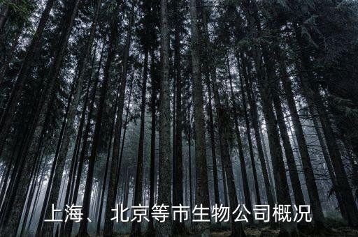 上海、 北京等市生物公司概況