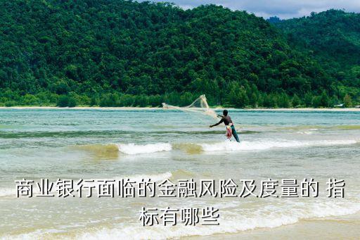 銀行業(yè)審慎經(jīng)營指標(biāo),外匯審慎經(jīng)營評估指標(biāo)