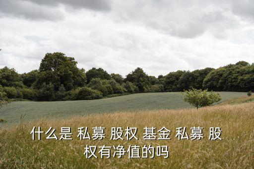 什么是 私募 股權 基金 私募 股權有凈值的嗎
