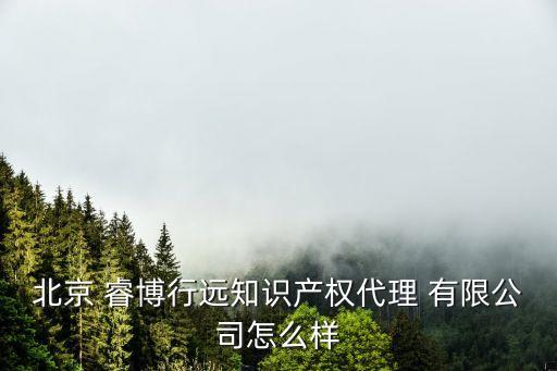 北京 睿博行遠知識產(chǎn)權代理 有限公司怎么樣