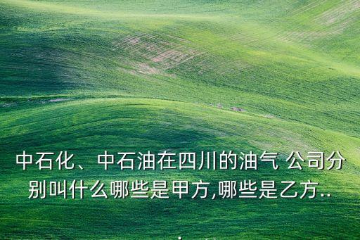 中石化、中石油在四川的油氣 公司分別叫什么哪些是甲方,哪些是乙方...