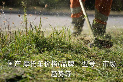 國產(chǎn) 摩托車價(jià)格(品牌、型號、市場趨勢等
