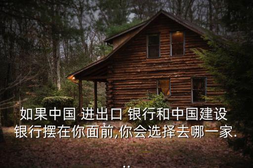 如果中國(guó) 進(jìn)出口 銀行和中國(guó)建設(shè) 銀行擺在你面前,你會(huì)選擇去哪一家...