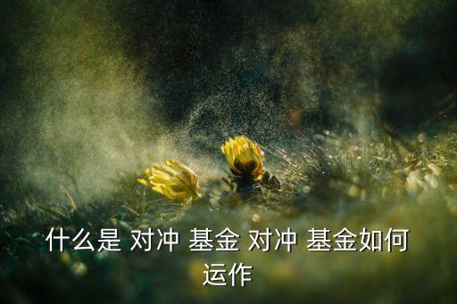 什么是 對(duì)沖 基金 對(duì)沖 基金如何運(yùn)作