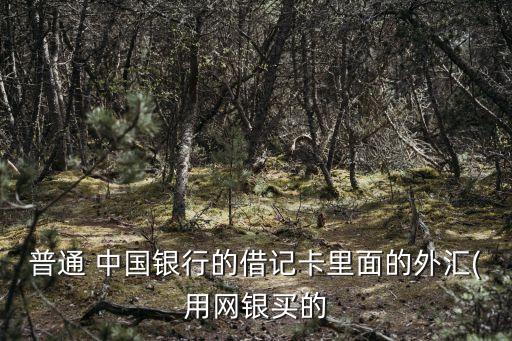 普通 中國(guó)銀行的借記卡里面的外匯(用網(wǎng)銀買的