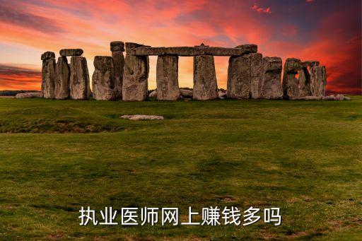 執(zhí)業(yè)醫(yī)師網上賺錢多嗎