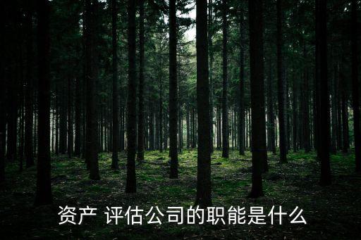  資產(chǎn) 評(píng)估公司的職能是什么