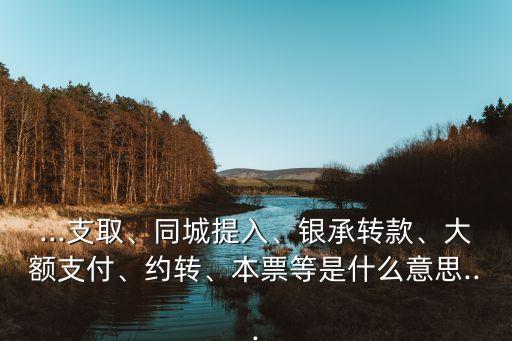 ...支取、同城提入、銀承轉(zhuǎn)款、大額支付、約轉(zhuǎn)、本票等是什么意思...