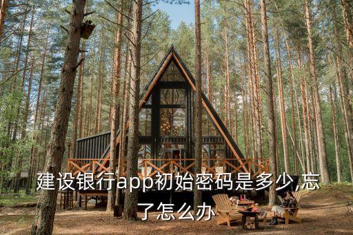  建設銀行app初始密碼是多少,忘了怎么辦