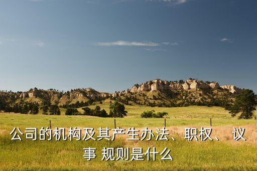 公司的機(jī)構(gòu)及其產(chǎn)生辦法、職權(quán)、 議事 規(guī)則是什么