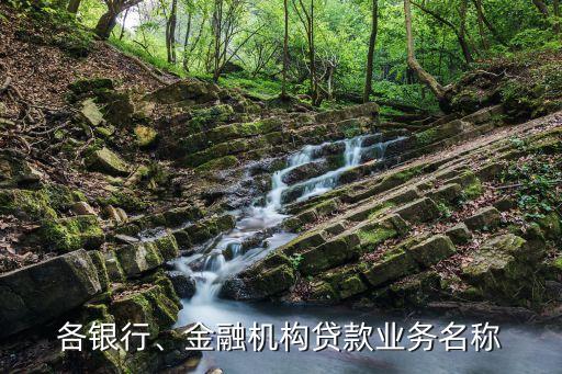 各銀行、金融機(jī)構(gòu)貸款業(yè)務(wù)名稱
