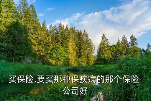 買(mǎi)保險(xiǎn),要買(mǎi)那種保疾病的那個(gè)保險(xiǎn) 公司好