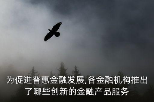 為促進普惠金融發(fā)展,各金融機構(gòu)推出了哪些創(chuàng)新的金融產(chǎn)品服務(wù)