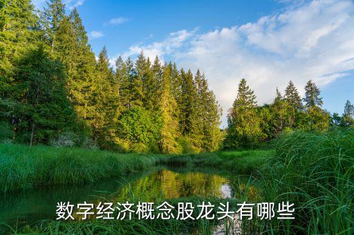 數(shù)字經濟概念股龍頭有哪些