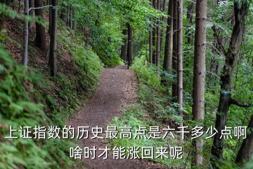上證指數的歷史最高點是六千多少點啊啥時才能漲回來呢