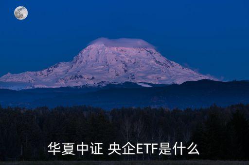國(guó)泰央企改革股票基金
